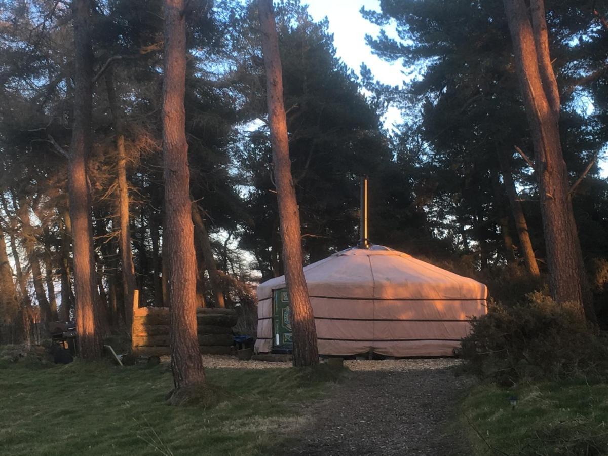 Penbedw Uchaf Estate - Rural Retreats, Tennis Mold Kültér fotó