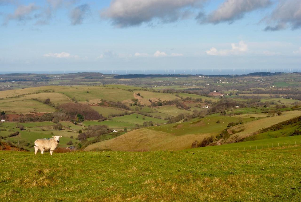 Penbedw Uchaf Estate - Rural Retreats, Tennis Mold Kültér fotó