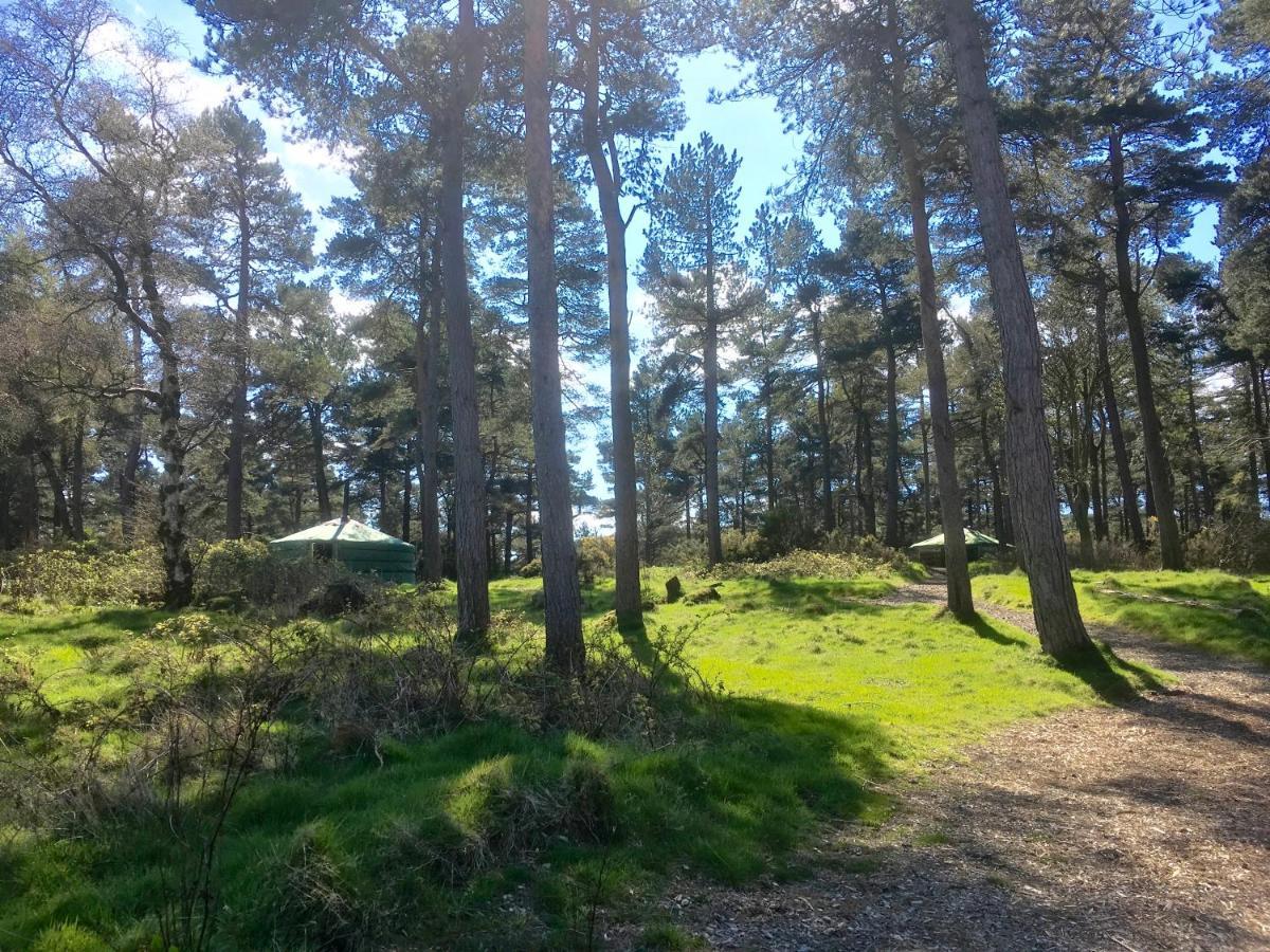 Penbedw Uchaf Estate - Rural Retreats, Tennis Mold Kültér fotó