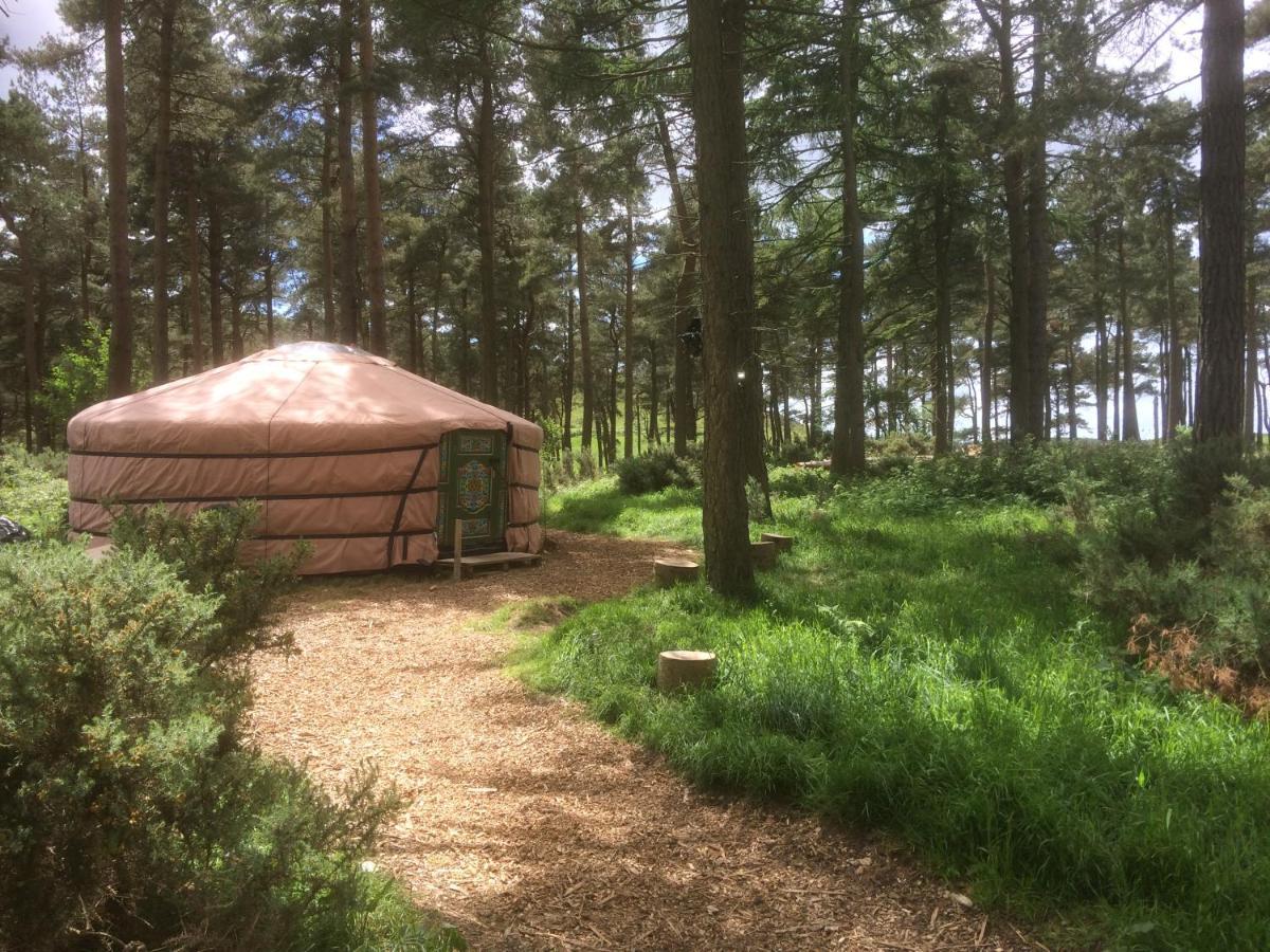 Penbedw Uchaf Estate - Rural Retreats, Tennis Mold Kültér fotó
