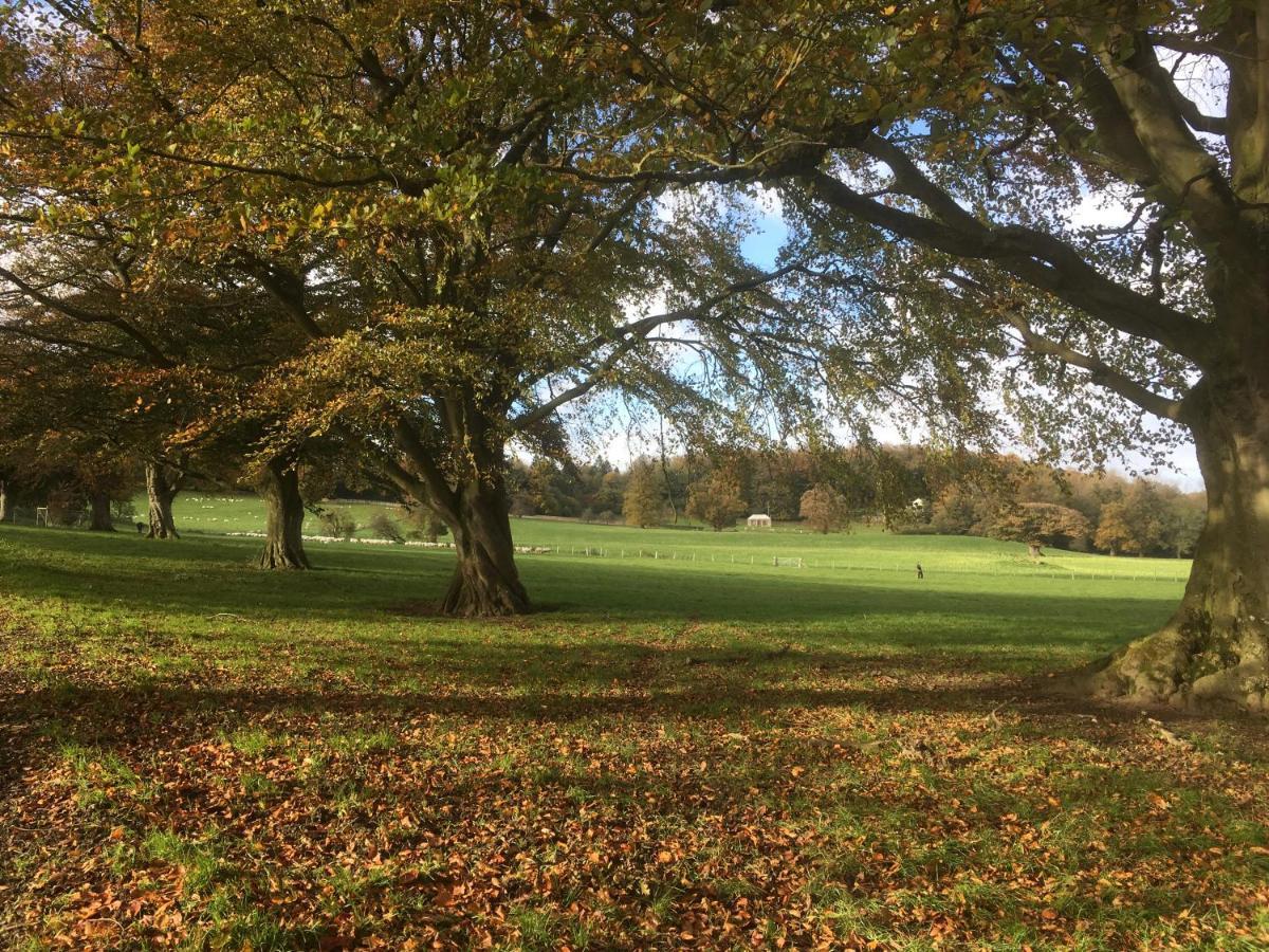 Penbedw Uchaf Estate - Rural Retreats, Tennis Mold Kültér fotó